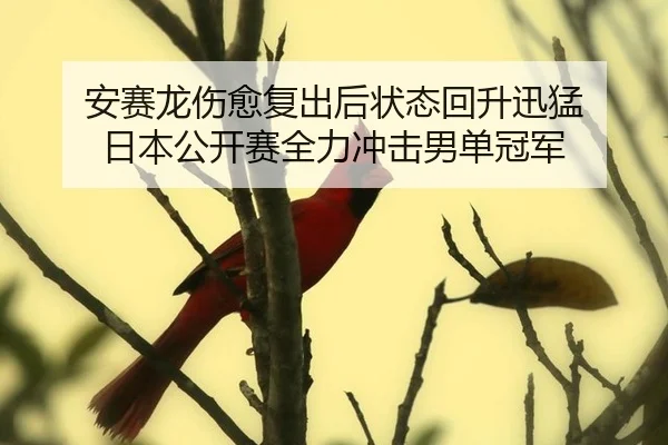 安赛龙伤愈复出后状态回升迅猛 日本公开赛全力冲击男单冠军