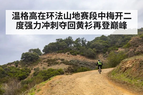 温格高在环法山地赛段中梅开二度强力冲刺夺回黄衫再登巅峰